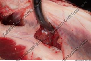 Photo Textures of RAW Beef Meat